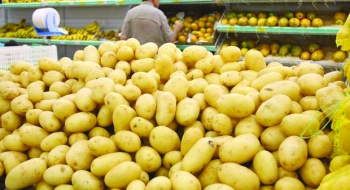 Batata lidera as quedas de preços entre os produtos de hortifruti em julho